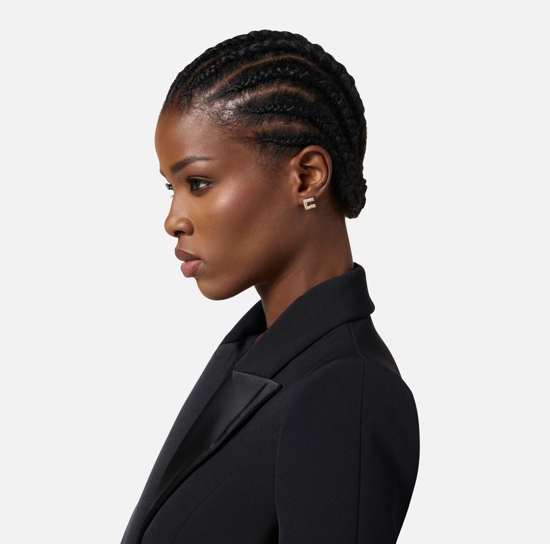 Orecchini Elisabetta Franchi OR01A56E2